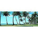 Palm View Panoramic tropical wall mural