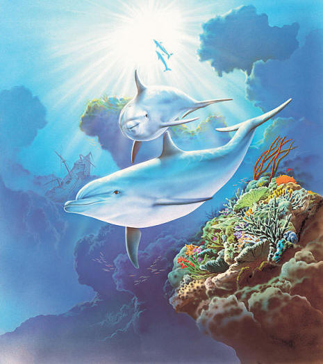 http://www.muralsuperstore.com/catalog/dolphi9.jpg