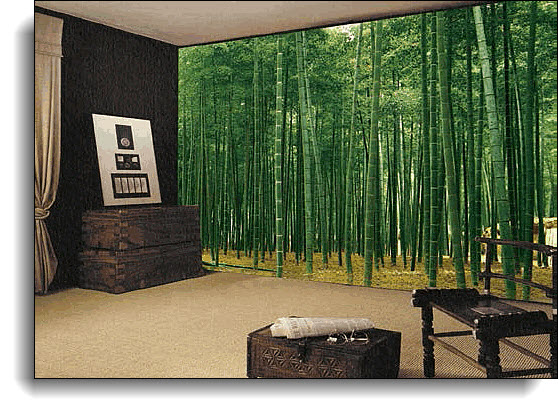 Bamboo Plantation Japan Wall Mural Roomsetting