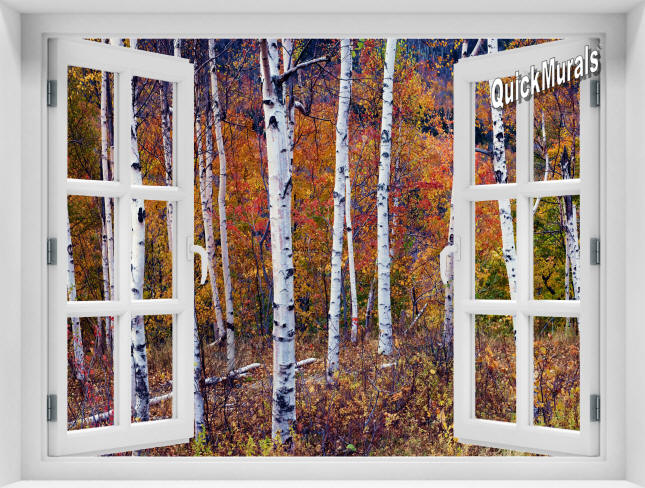 Birch Forest Window