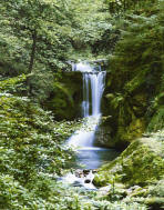 Waterfall In Spring 364 Mural by Ideal Decor