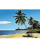 African Beach 4-074 discount wall murals