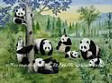 Pandas PR1810 wall mural