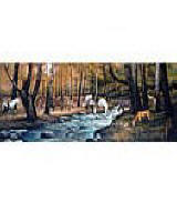 Gathering Horses wall mural