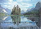 Reflections 1802 Large Wall murals