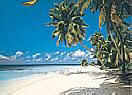 Bali Hi 1805 wall murals