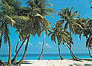 Bahama Breeze 1829 Wall Murals