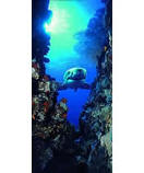 Shark 2-1002 Children's Wall Murals