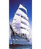 Sailing Ship 2-1017 Children's Wall Murals