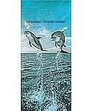 Dolphins 2 2-1203 Kid's Wall Murals