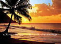 Pacific Sunset 218 wall mural