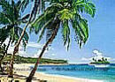 Isle Tropicale 241 Ocean Murals