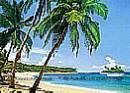 Isle Tropicale 241 wall mural