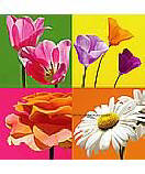 Fun Flowers 259-72061 wall murals