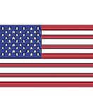 American Flag wall mural