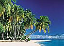 Tropical Beach 3905 Large Wall murals