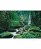 Ellowa Falls, Oregon discount wall murals