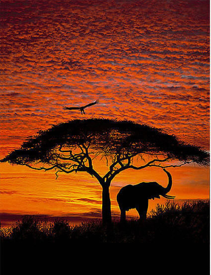 Wall Mural