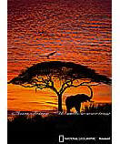 African Sunset wall mural