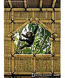 Tree House Kid's Wall Murals