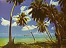 Tahiti 4036 wall mural