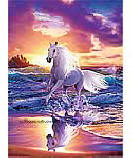 Free Spirit 409 wall murals