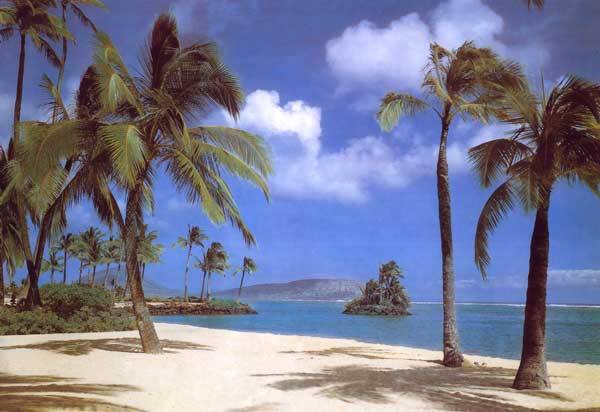 Hawaii (#2) wall mural 8-038