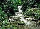 Waterfall, Black Forest  Wall Murals