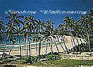 Cottegoda Bay 8-252 Large Ocean Wall Murals