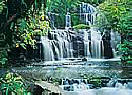 Purakaunui Falls 8-256 wall mural