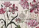 Merian 8-510 wall mural