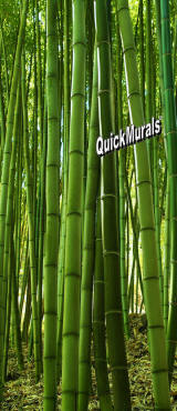 Quick Murals Peel and Stick Wall Murals