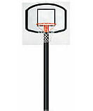 Basketball Hoop Children's Wall Murals