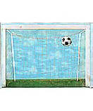 Soccer Net BH1878M wall murals