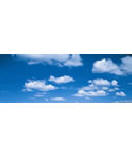 Blue Heaven PR1478 wall murals