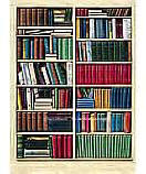 Bibliotheque 401 wall mural