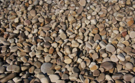 Pebbles  Wall Mural C860 