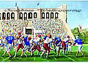 Football Stadium york wallpaper wall mural