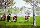 Lexington Horse Farm york wallpaper wall mural