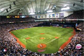 Minnesota Twins/Metrodome