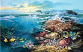 Oceanic Wonder Wall Mural PR1838