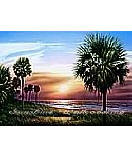 Palmetto Sunrise  wall murals