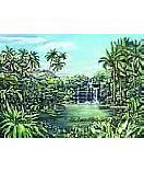 Tropical Lagoon wall murals 