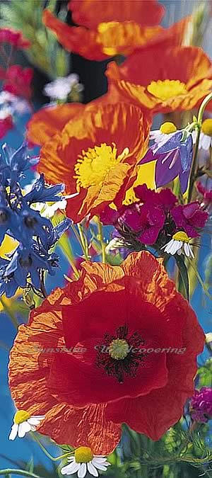 Red Poppies Wall Mural 515