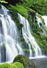 Royale Falls Wall Mural PR1030