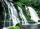 Royale Falls PR1830 Wall Murals