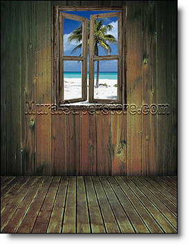 WINDOW SELF ADHESIVE WALL MURAL