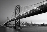 San Francisco Skyline Wall Mural DM134