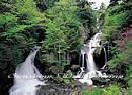 Twin Falls PR1840 Wall Murals