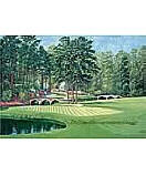 Golfers Paradise wall mural